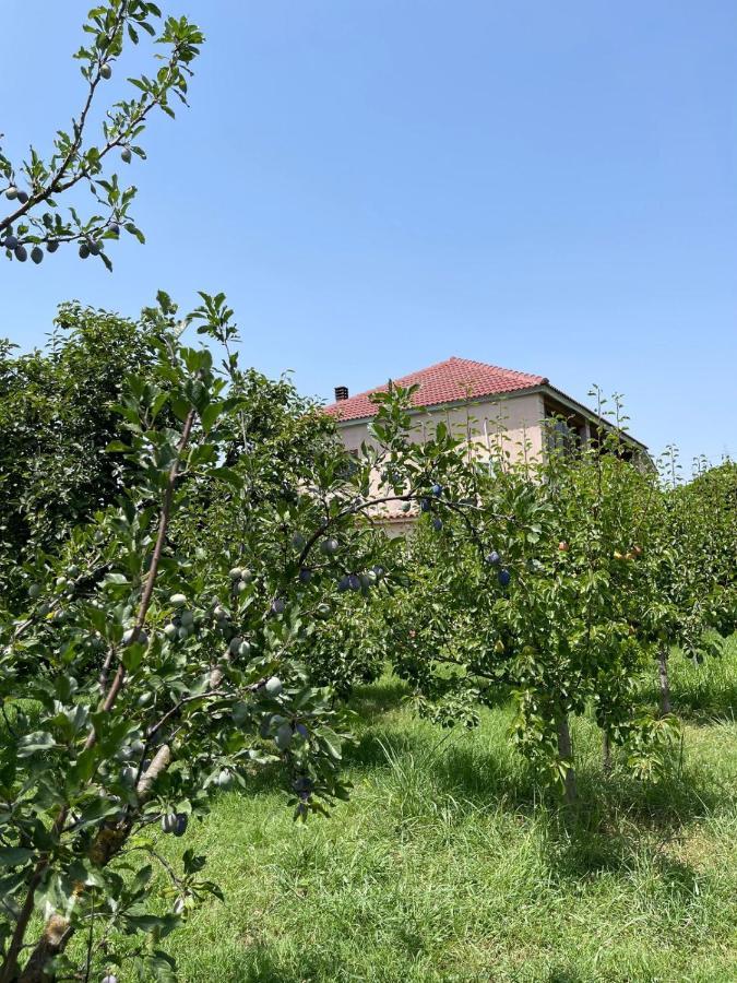 Villa Mance Berat Eksteriør bilde