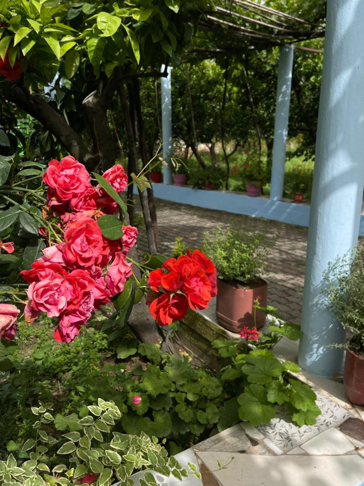 Villa Mance Berat Eksteriør bilde